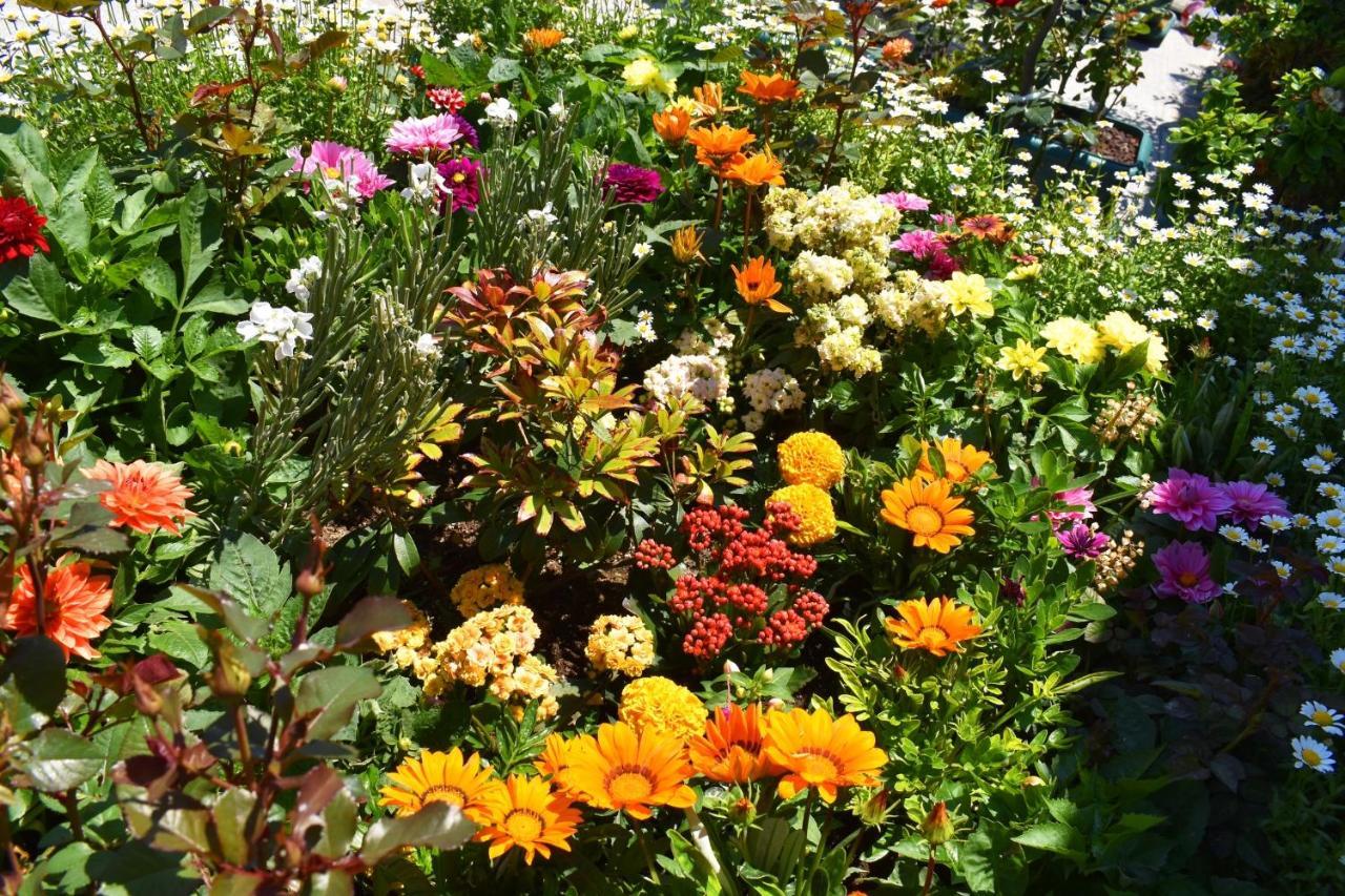 Hotel Garden Terrace  Istanbul Exterior foto